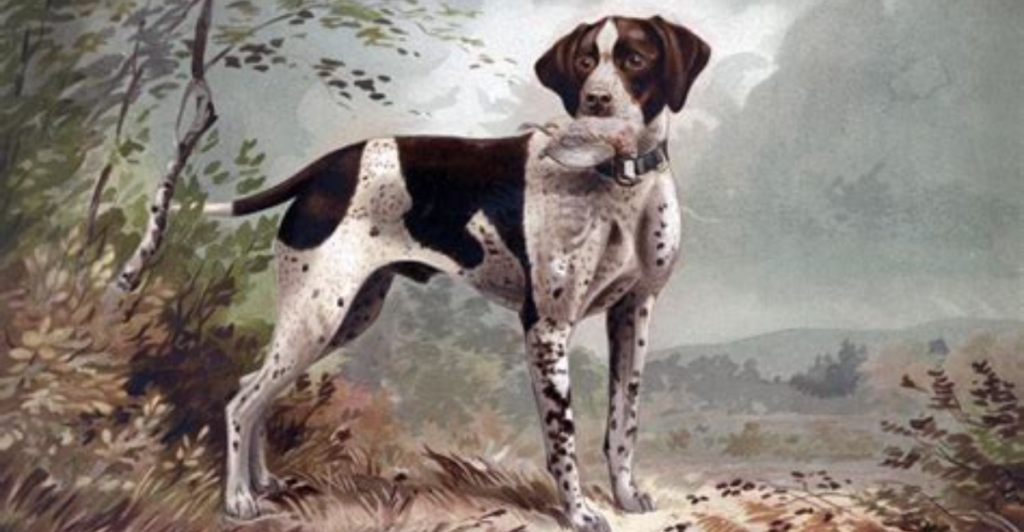 Dogs In Famous Paintings Animalplanethq dogs-in-famous-paintings-animalplanethq