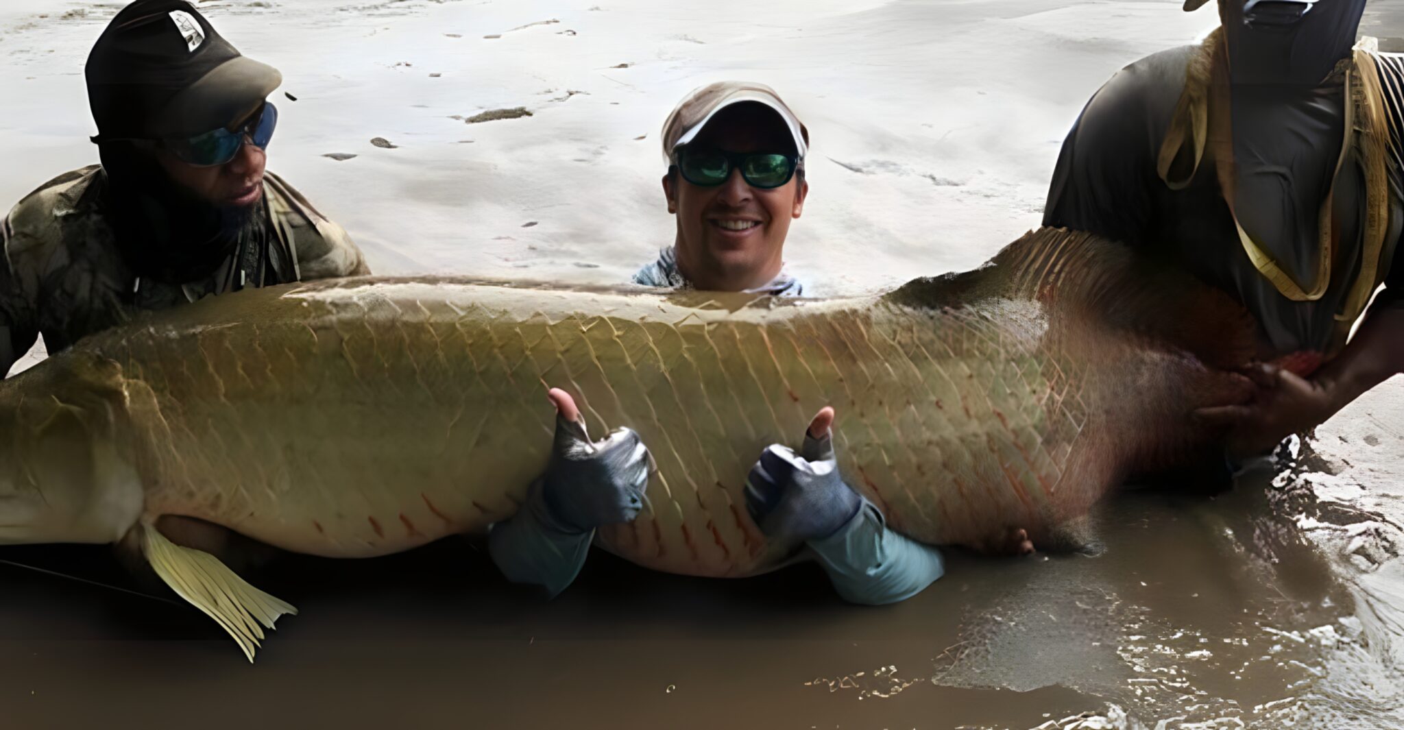12 Largest Fish Ever Caught – Record-Setting Giants | animalplanethq.com
