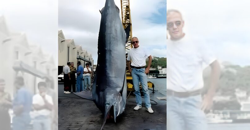 12 Largest Fish Ever Caught – Record-Setting Giants | animalplanethq.com