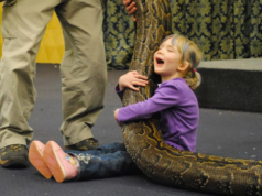 12 Reasons Why Reptiles Make Better Pets Than Dogs
