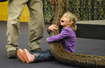 12 Reasons Why Reptiles Make Better Pets Than Dogs