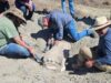 New Fossil from Prehistoric Giant Found in Texas National Park
