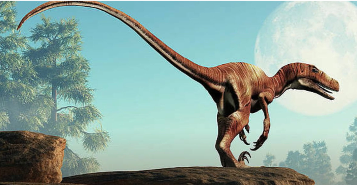 The 9 Fastest Dinosaurs That Ever Existed | animalplanethq.com