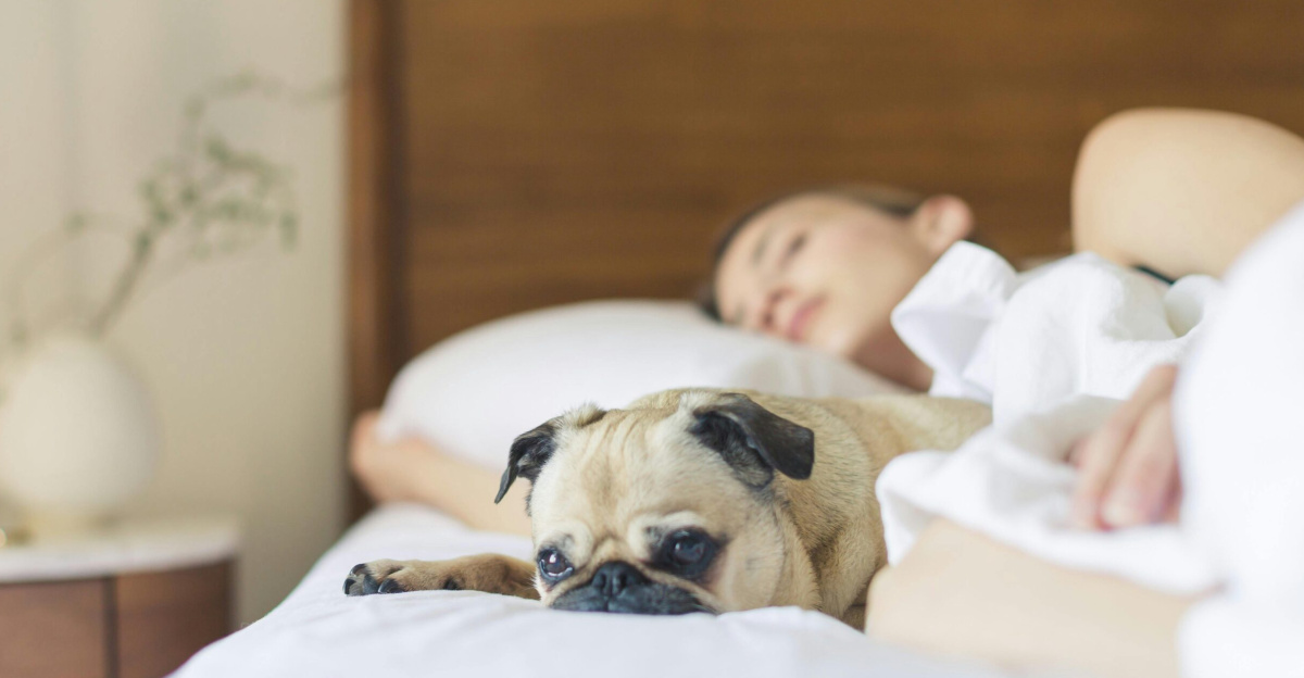 A relaxed woman and her pug dog resting comfortably on a bed, showcasing a cozy lifestyle moment.