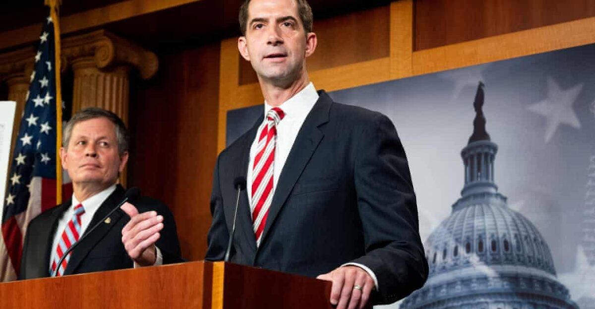 Tom Cotton calls slavery necessary evil in attack on New York Times 1619 Project Slavery The Guardian by Laura Davis