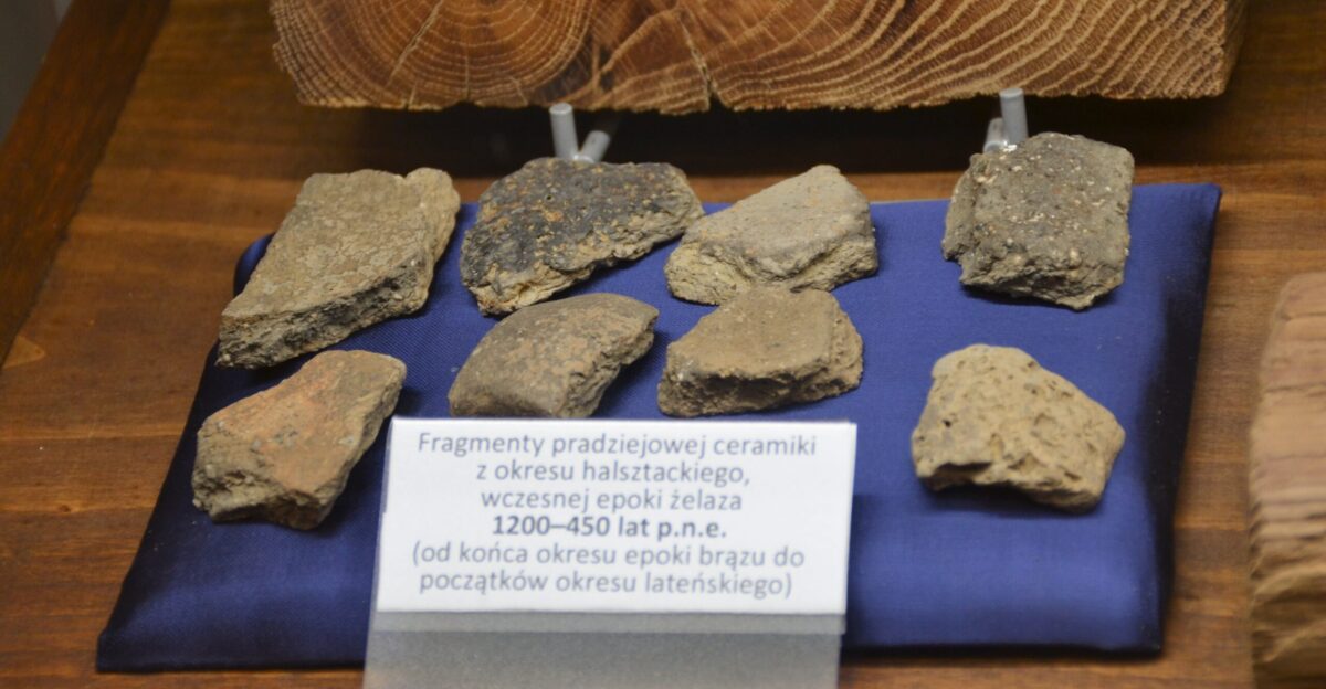 Archaeological excavations at Grodziec Castle