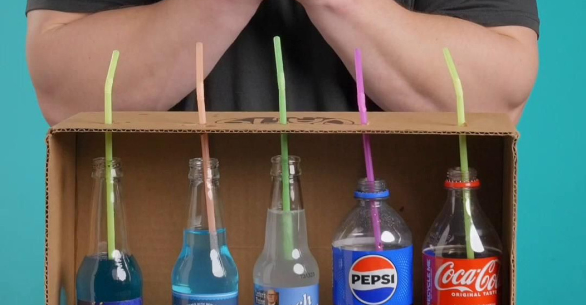 Blind Taste Test of WERID Sodas by Alina Vlazan