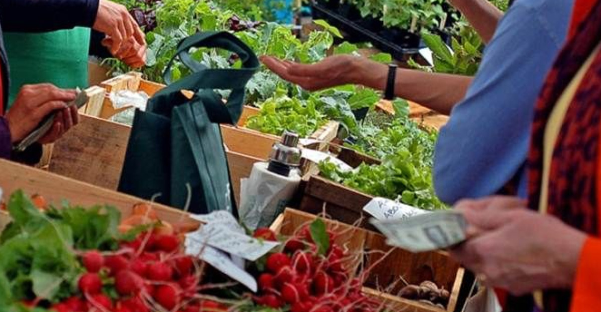 rate the space by Jo Wheeler-Bennett