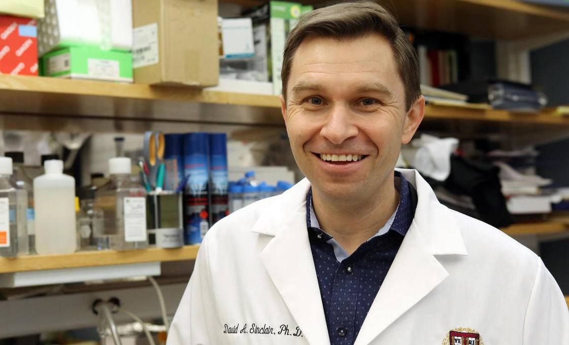 Dr David Sinclair s Diet Exercise Protocol by BrainFlow Health Recipes Fitness Anti-Aging