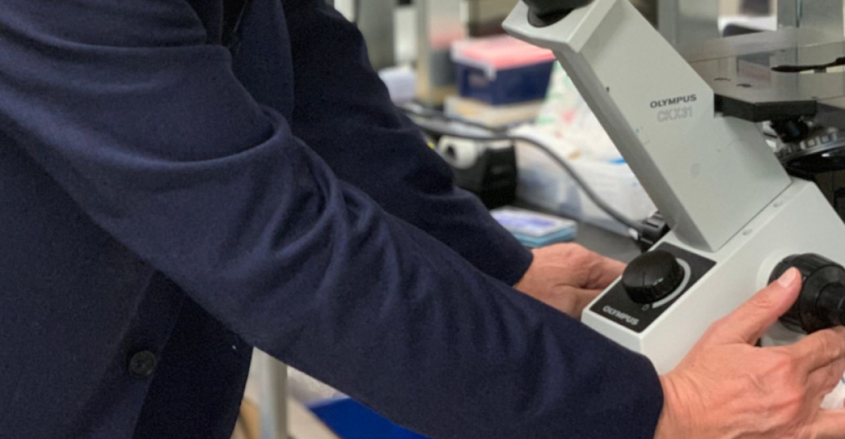 Creation of First Human-Monkey Embryos Sparks Concern - WSJ by Koshkalady