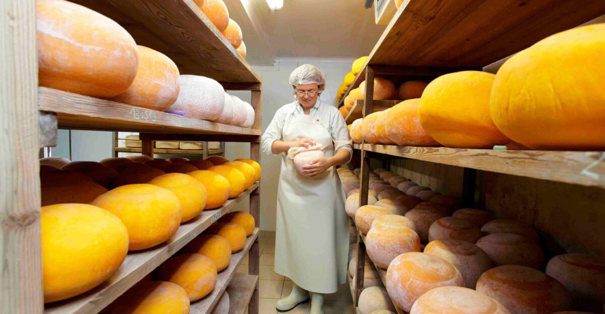 Fraudsters wheel away huge haul of artisan cheddar worth an eye-popping 400 000 by SK Media