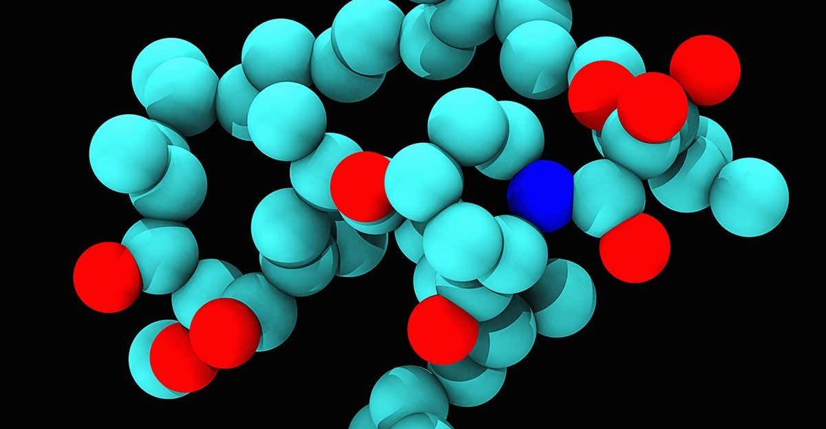 Rapamycin by lainie88