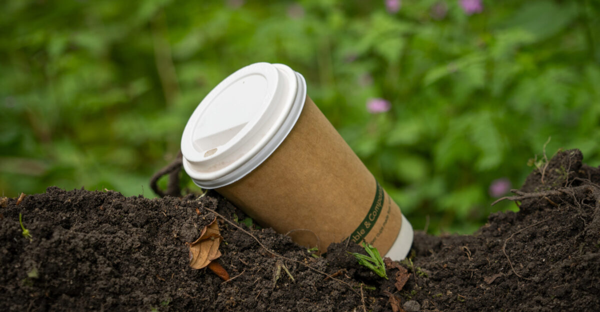 An image of a biodegradable takeaway coffee mug lying on wet soil in the woods surrounded by roots and shoots There are green plants with pink flowers in the background This image is available for use under Creative Commons If you use it link back to us at meanwell-packaging co uk