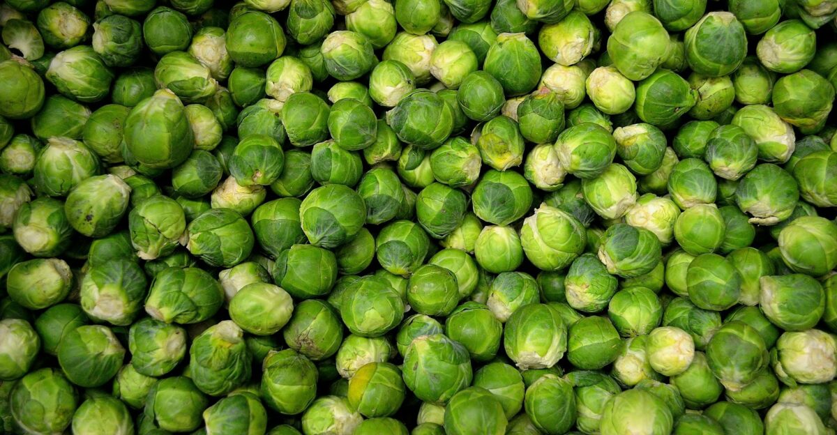 A close-up shot of fresh green Brussels sprouts perfect for healthy meals