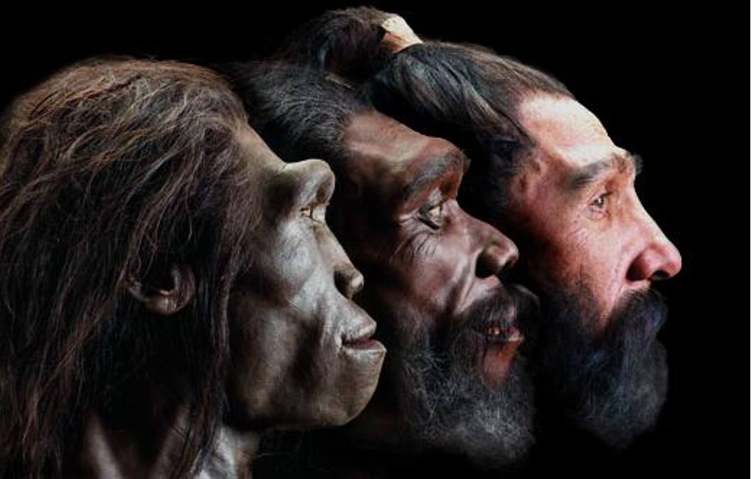 Image of reconstructed faces of three early humans in profile view Credit Smithsonian National Museum of Natural History Read more Follow us ancientorigins on Twitter ancientoriginsweb on Facebook by Zulay