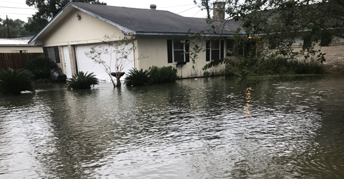 Hurricane Harvey flooding - Vidor Texas by Patty Radloff