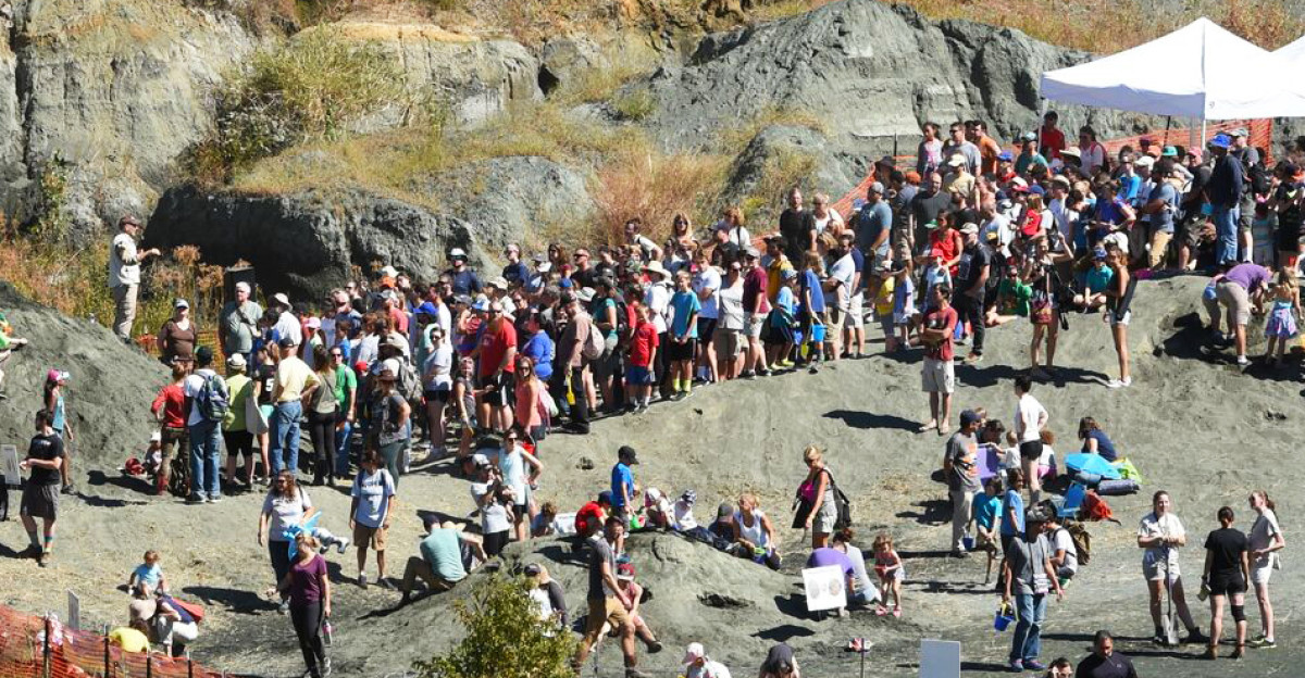 The widely popular Community Dig Days at Edelman Fossil Park each Fall welcome over 1 500 amateur fossil hunters and wannabe Paleontologists to the dig site