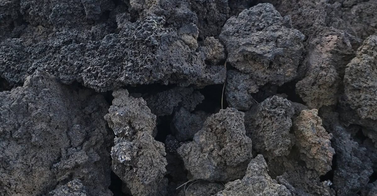 Next hike along the lava fields from the Sunset Crater volcano Amazingly strange landscape walking over the black volcanic rocks and sand lavarock sunsetcraternationalmonument volcanohike by Antonija Samobor