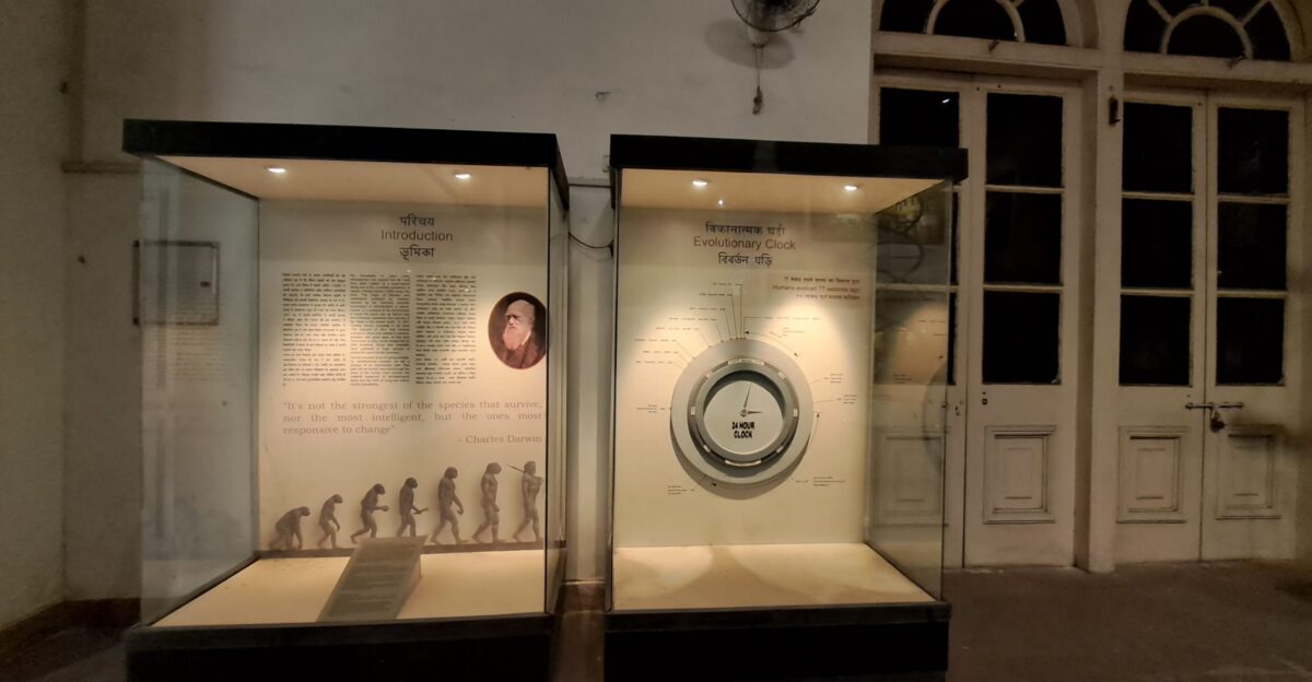 Evolutionary Clock in the Indian Museum Kolkata