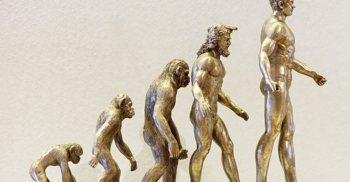 evolution development future ape human changes change understanding evolution evolution evolution evolution evolution