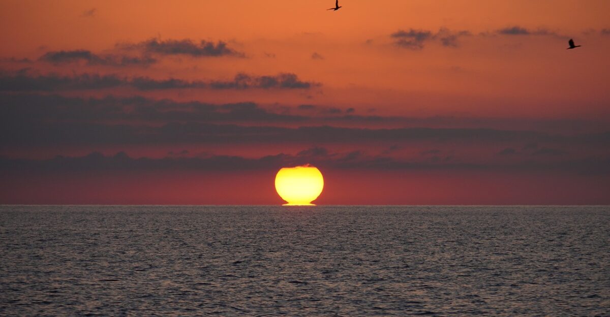 sunset ocean sea waves birds mediterranean mallorca spain island water evening sky nature