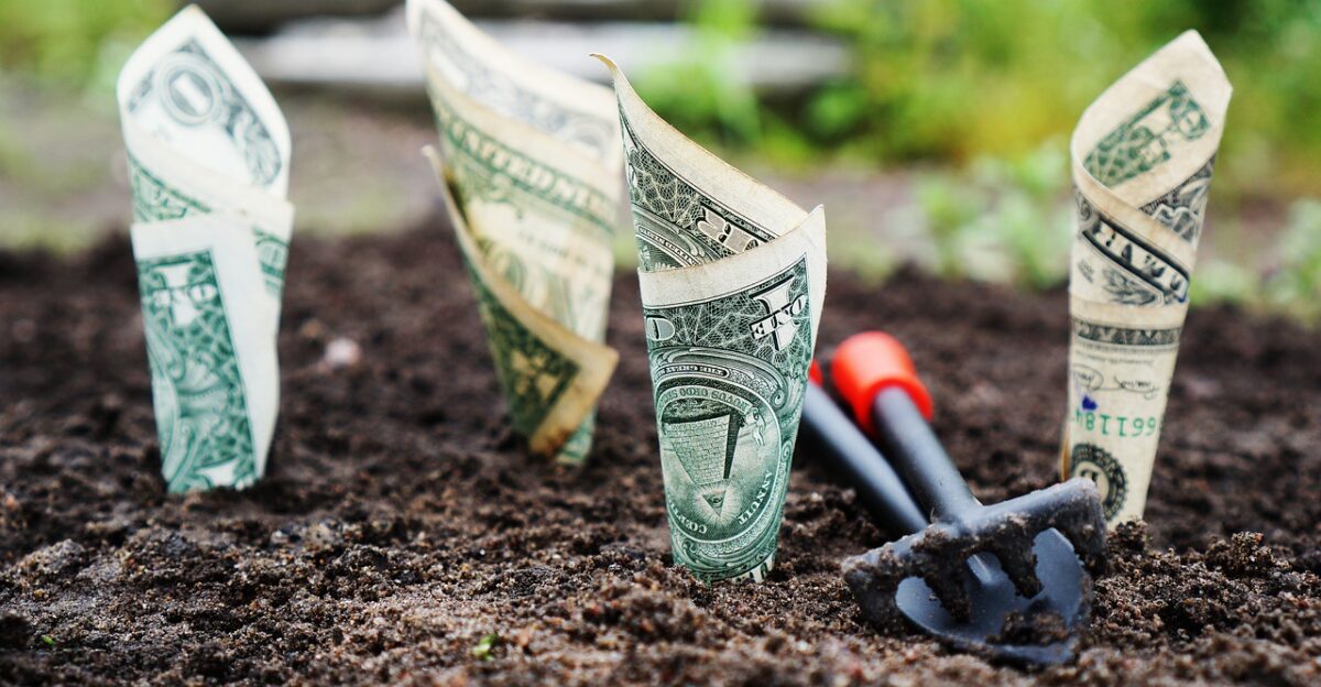 money grow interest save invest shares funds the bank finance banknotes financial savings account bank account money money money money money