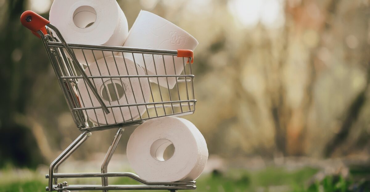 shopping toilet paper covid-19 forage pandemic panic stock hamster shopping hoard purchasing sold out curfew hamster purchases bathroom health cleanliness quarantine worldwide coronavirus corona fear hamster buying virus shopping venture shopping shopping shopping shopping shopping toilet paper toilet paper toilet paper bathroom