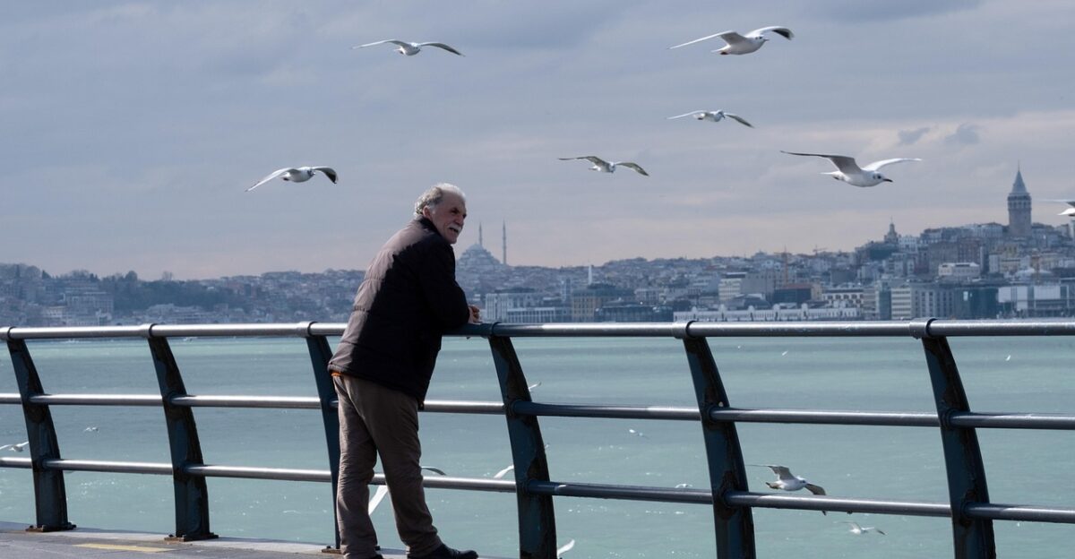 old man sea seagulls nature man pier boardwalk