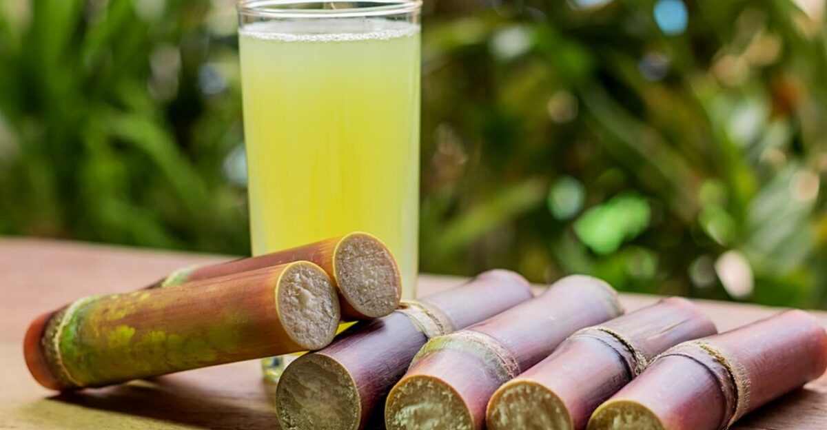 sugarcane sugarcane juice natural healthy juice sweet crop sugar sucrose perennial sugarcane sugarcane sugarcane sugarcane sugarcane sugarcane juice sugarcane juice