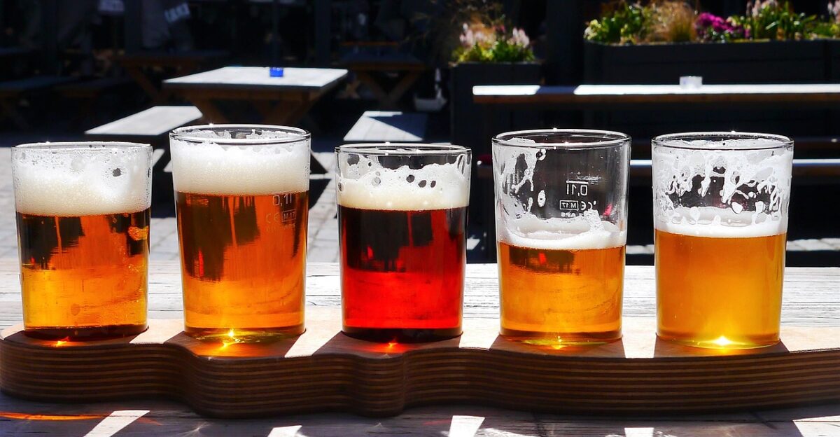 beer varieties different sorts alcohol hop water nature light beer dark beer summer