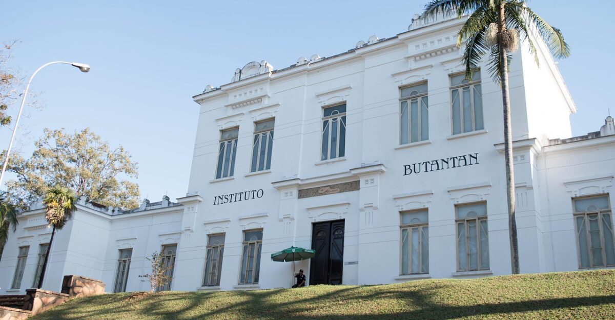 butantan institute s o paulo butantan butantan butantan butantan butantan institute