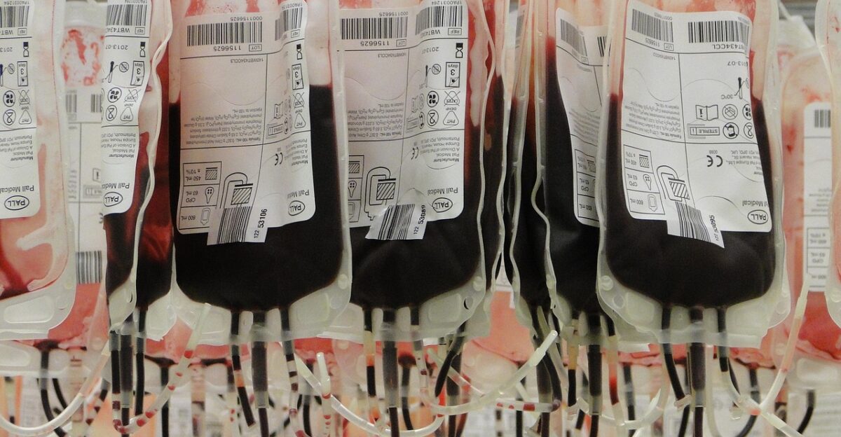 blood bags red red blood cells blood donors blood bags blood bags blood bags blood bags blood bags