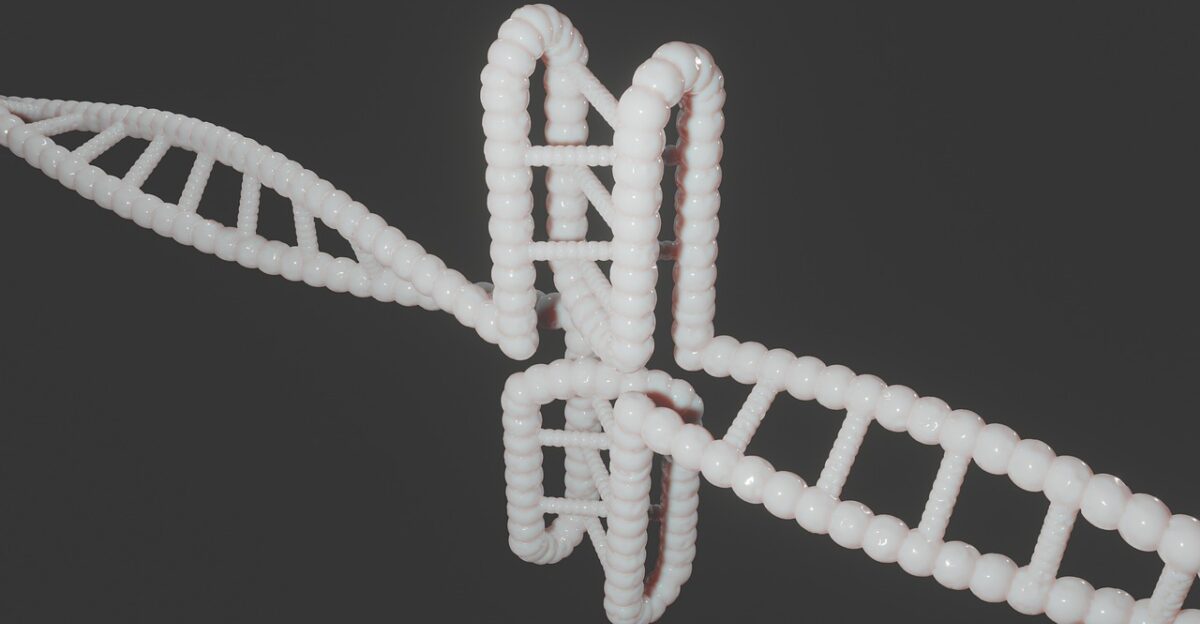 human dna genetic cytosine c-rich regions i-motif i-tetraplex i-dna dns i-motif dna quadruplex g-quadruplex non-b-dna dna dna dna dna dna genetic