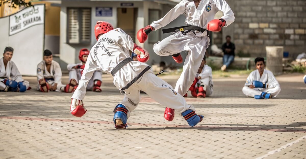 marshall taekwondo karate fight boxing taekwondo taekwondo taekwondo taekwondo taekwondo