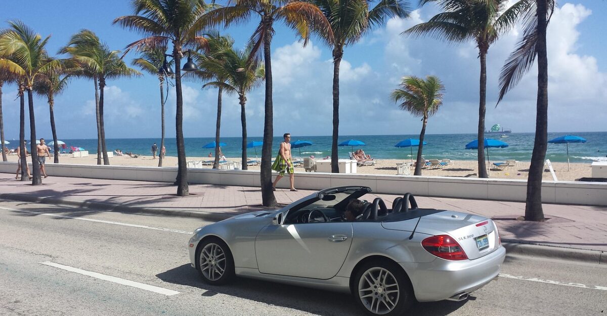 miami usa nature beach