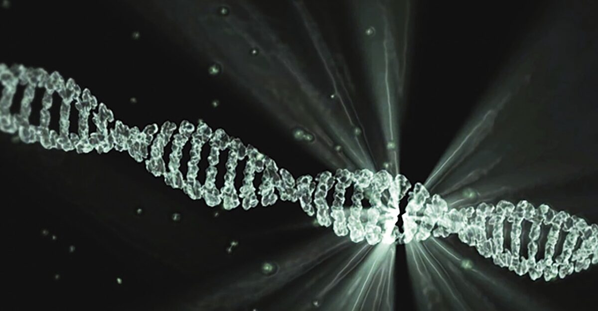 dna project lumina walter waymann dna dna dna dna dna