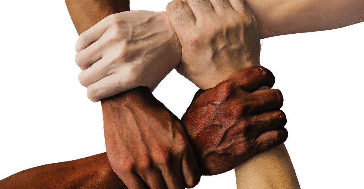 hands team united together people unity teamwork group hand in hand union support friendship cooperation community holding connection harmony diversity cut out hands hands hands hands team team team team team together together people people people people unity teamwork teamwork group support support friendship friendship community community community community connection diversity diversity diversity diversity