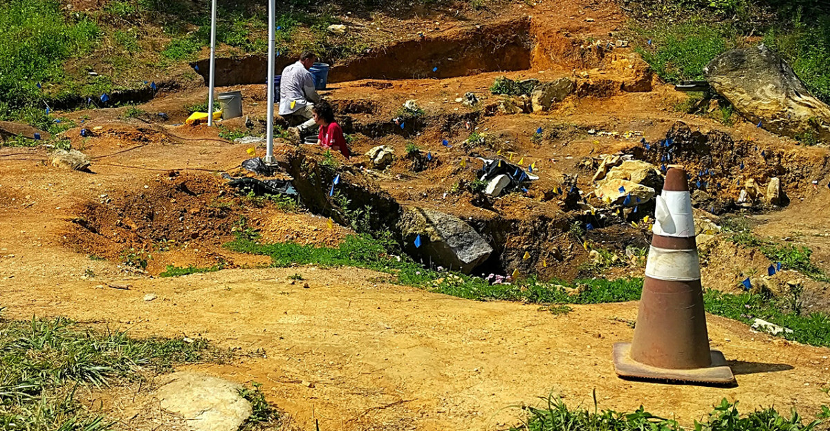 Montbrook Sister Sites - Montbrook Fossil Dig