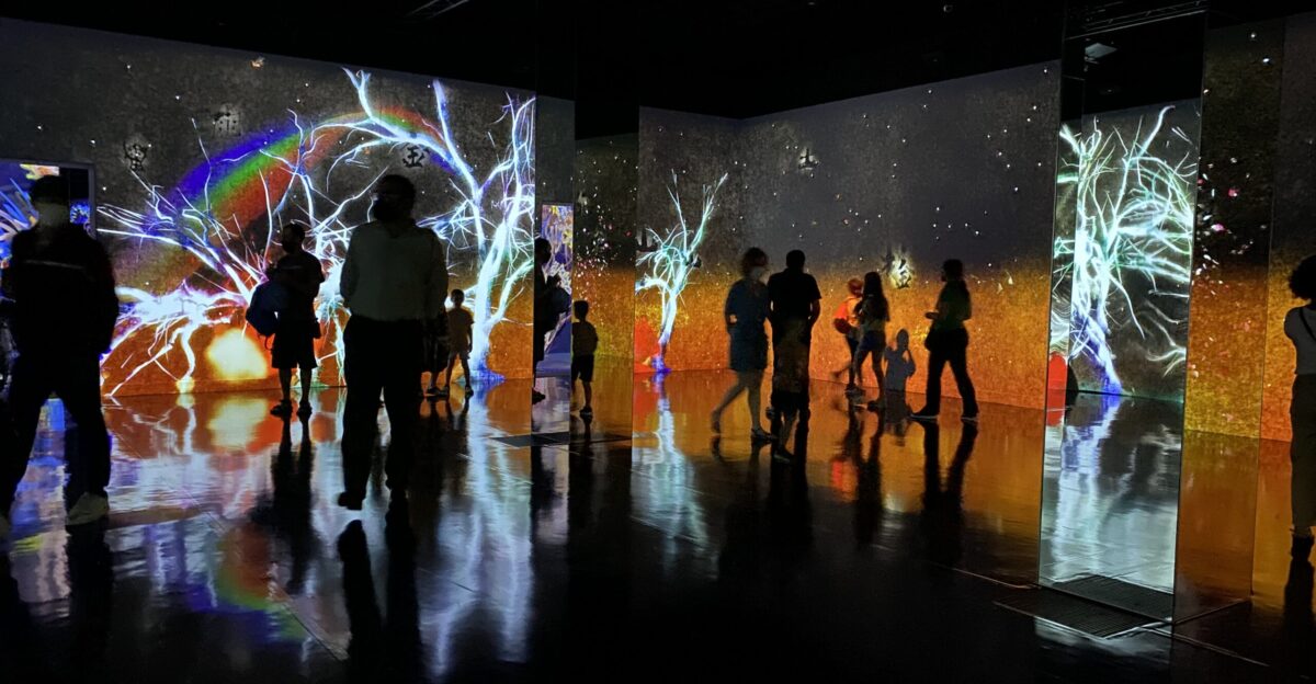 Immersive installation explores art technology and nature