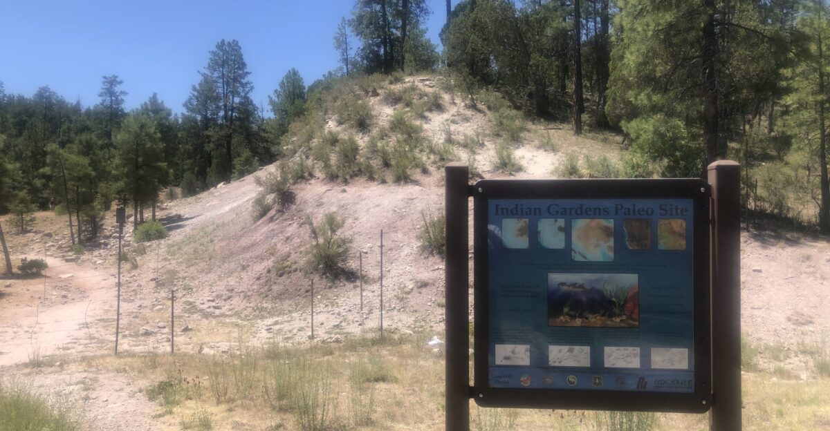 Indian Gardens Paleo Site approximately 12 miles east of Payso Arizona on highway 260