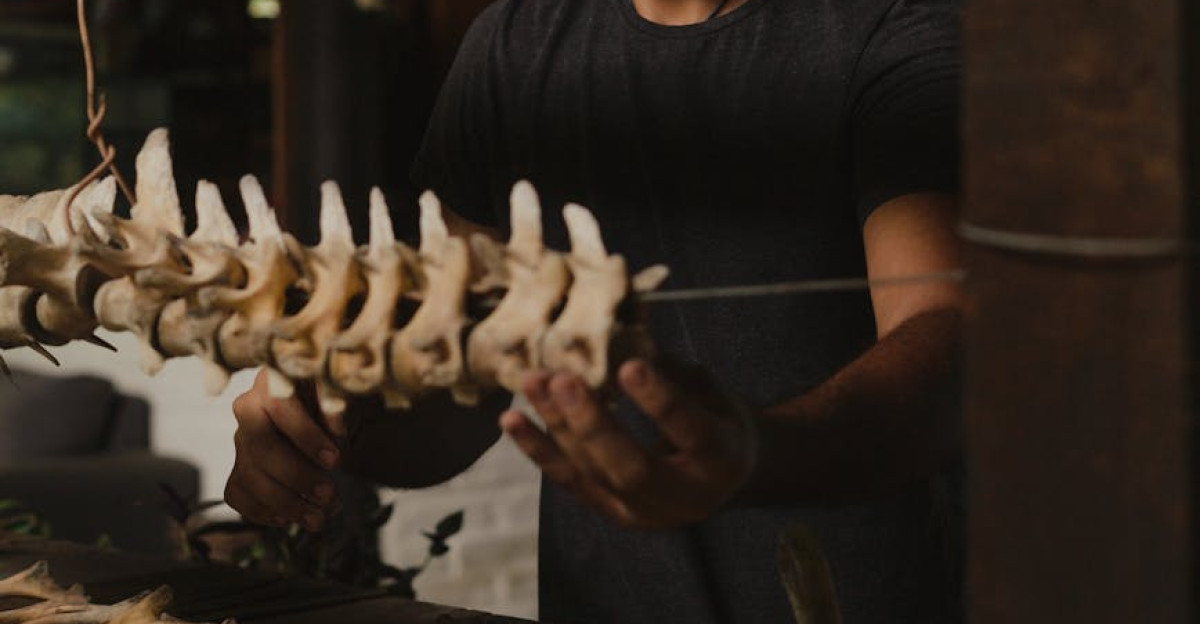 A man carefully inspects vertebrae showcasing scientific exploration and discovery