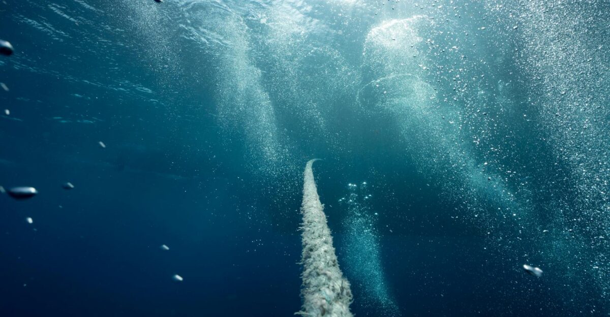 Explore the deep blue underwater world with bubbles rope and ambient light