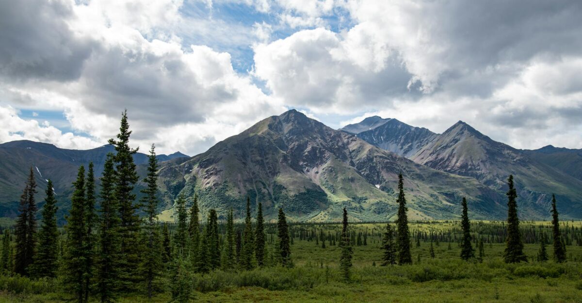 Breathtaking view of Alaskan mountains with conifer trees and lush valley under a cloudy sky