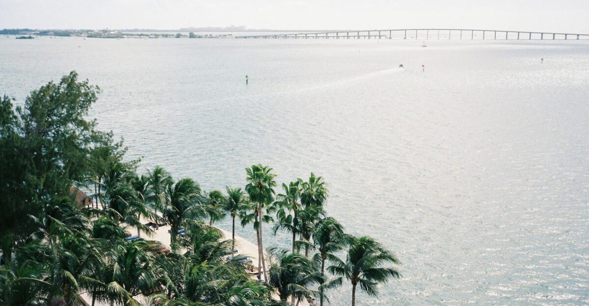 Aerial view of palm-lined Biscayne Bay and bridge in sunny Miami Florida