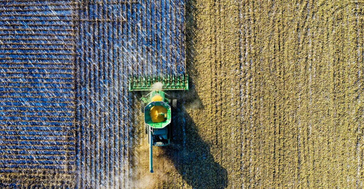 Aerial drone shot of a combine harvester working in a cornfield during harvest season in rural Minnesota