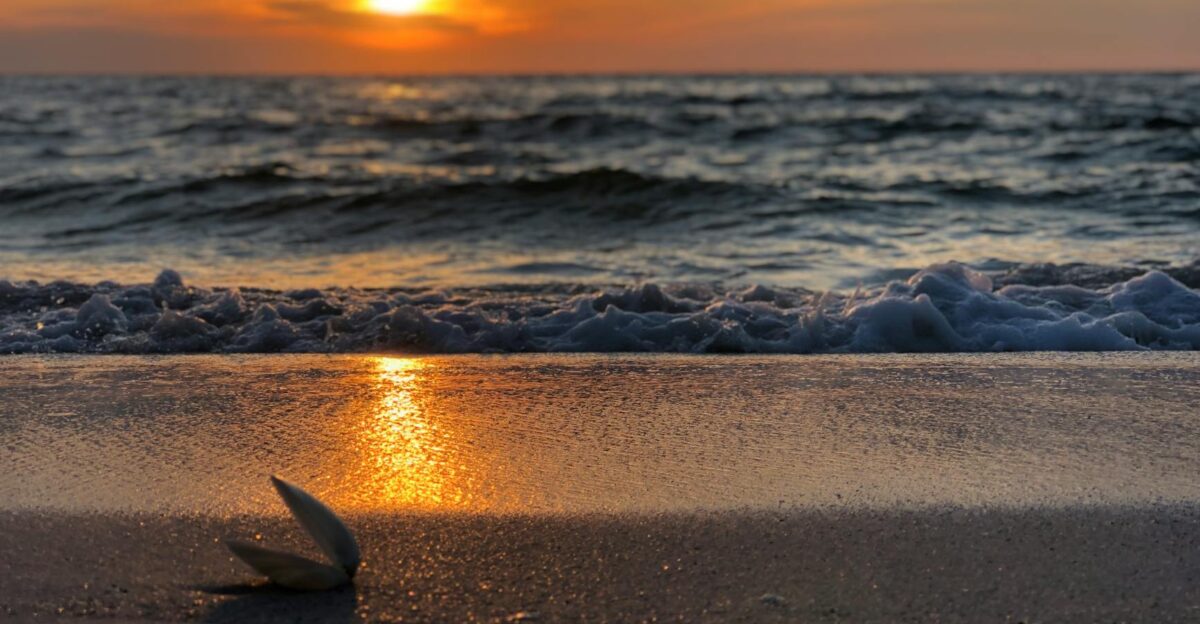 Serene beach scene at sunset with calm waves and seashells on Boca Grande Florida shoreline