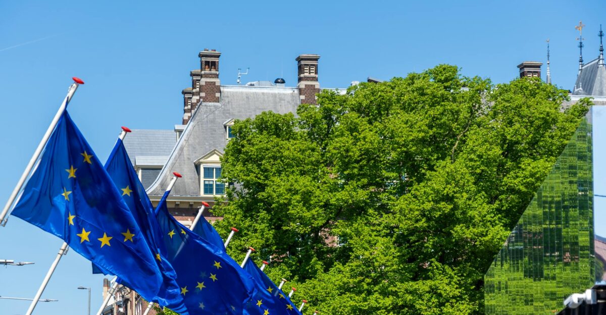 Multiple EU flags waving against a blue sky with greenery and architecture in the background