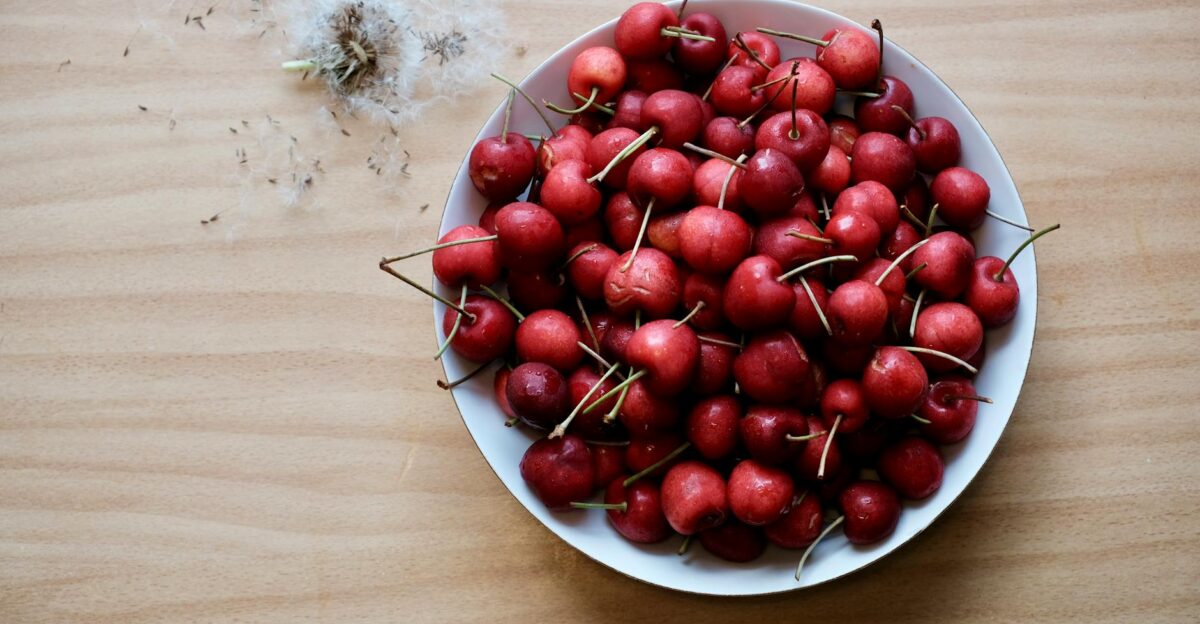 morello cherries