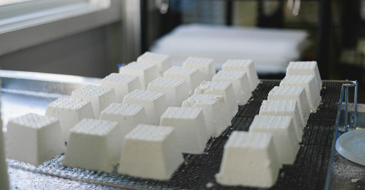 Focused shot of white sugar cubes arranged on a metal tray for drying indoors