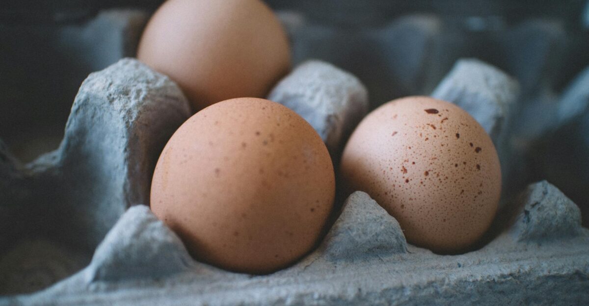 Three fresh brown eggs in a cardboard egg tray highlighting organic food concepts